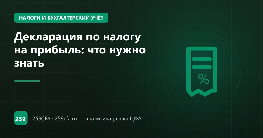 Декларация по налогу на прибыль: что нужно знать
