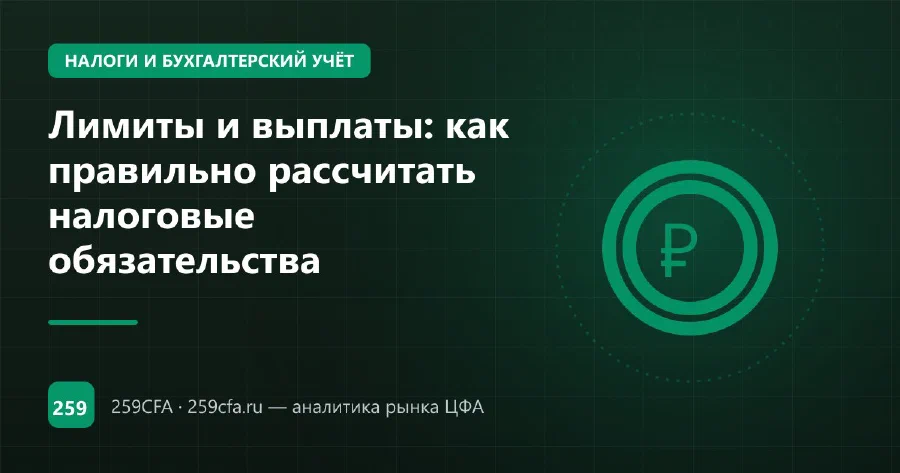 Лимиты и выплаты: как правильно рассчитать налоговые обязательства