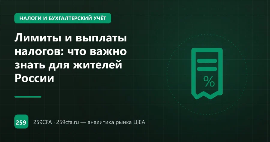 Лимиты и выплаты налогов: что важно знать для жителей России