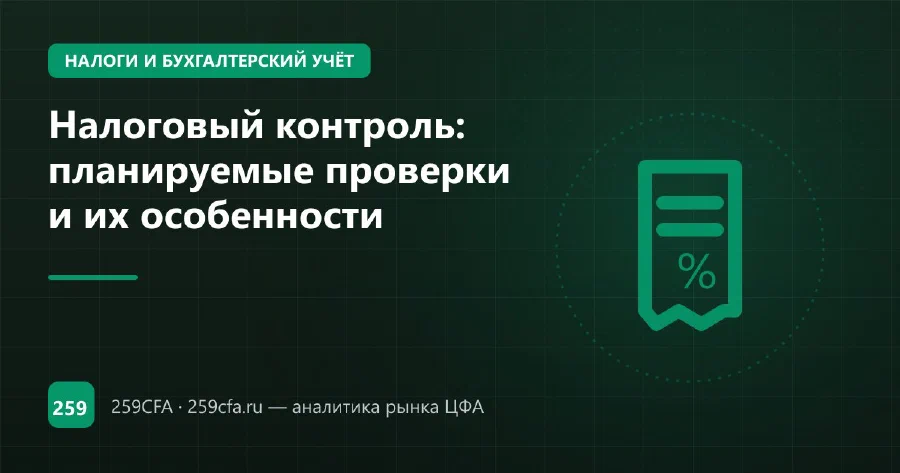 Налоговый контроль: планируемые проверки и их особенности