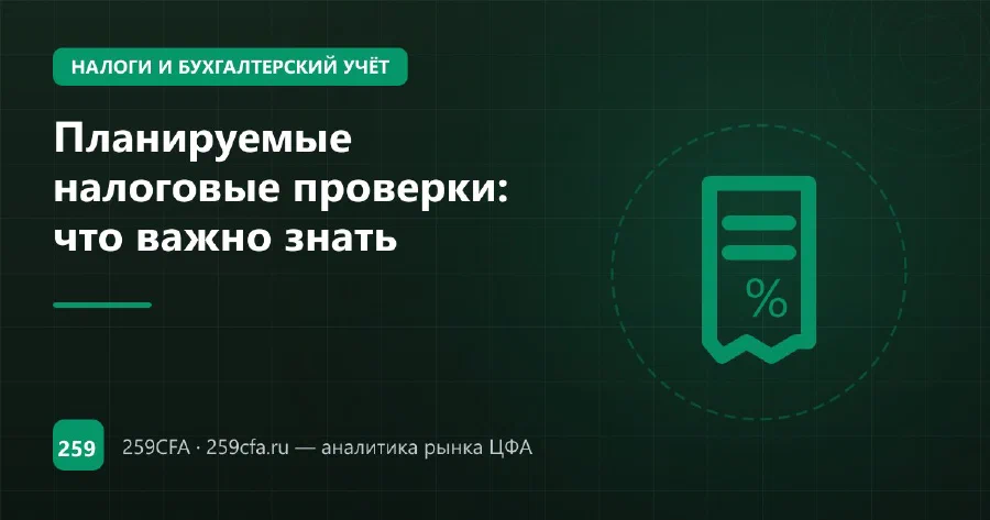 Планируемые налоговые проверки: что важно знать